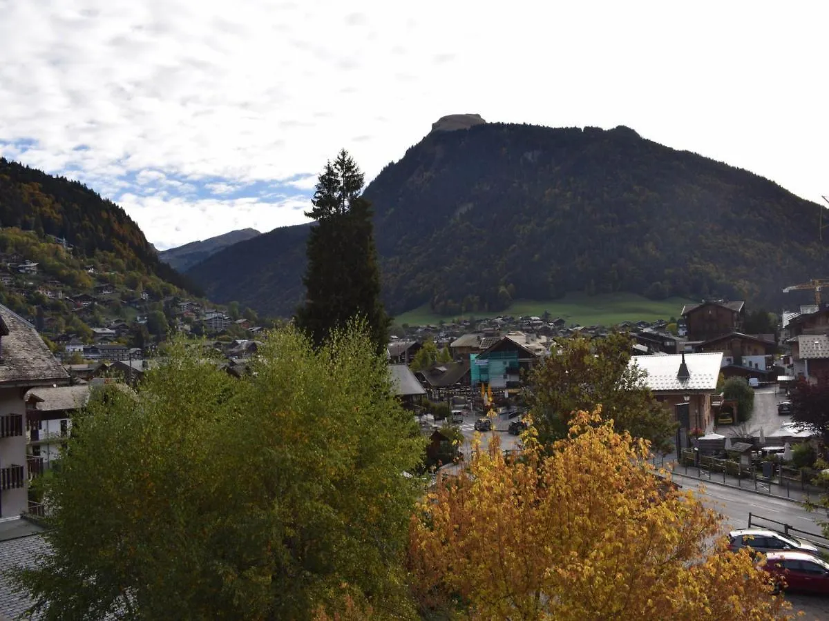 Appartement 2 Pieces, Proche Ecole De Ski, Animaux Admis, Balcon - Fr-1-524-79 Morzine 0*,  Frankrijk